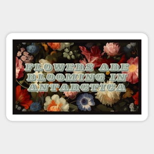 Flowers Are Blooming In Antarctica Sticker